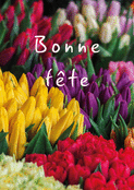 Tulipes multicolores pour mamie chérie